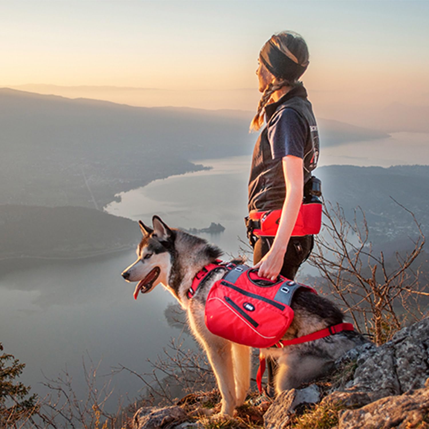 I-dog