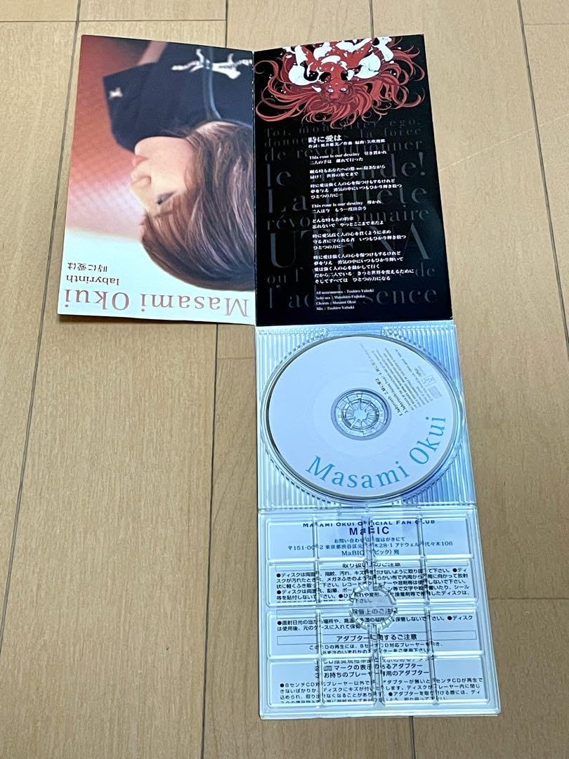 Amazon.co.jp: 『アキハバラ電脳組』奥井雅美 ／larinth|時に愛