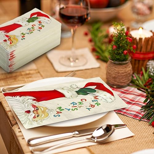Miniatura 5 de AnyDesign - Paquete de 80 servilletas de papel desechables de Navidad divertidas de Papá Noel, servilletas de papel desechables de Navidad para el