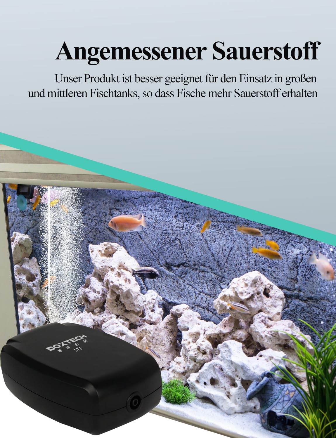 Boxtech Ossigenatore per Acquario Regolabile, Aeratore Acquario con Doppio Foro in Acciaio Inox, Potente Pompa per Acquario con Tubo d'aria, Pietra e Valvola di Non Ritorno