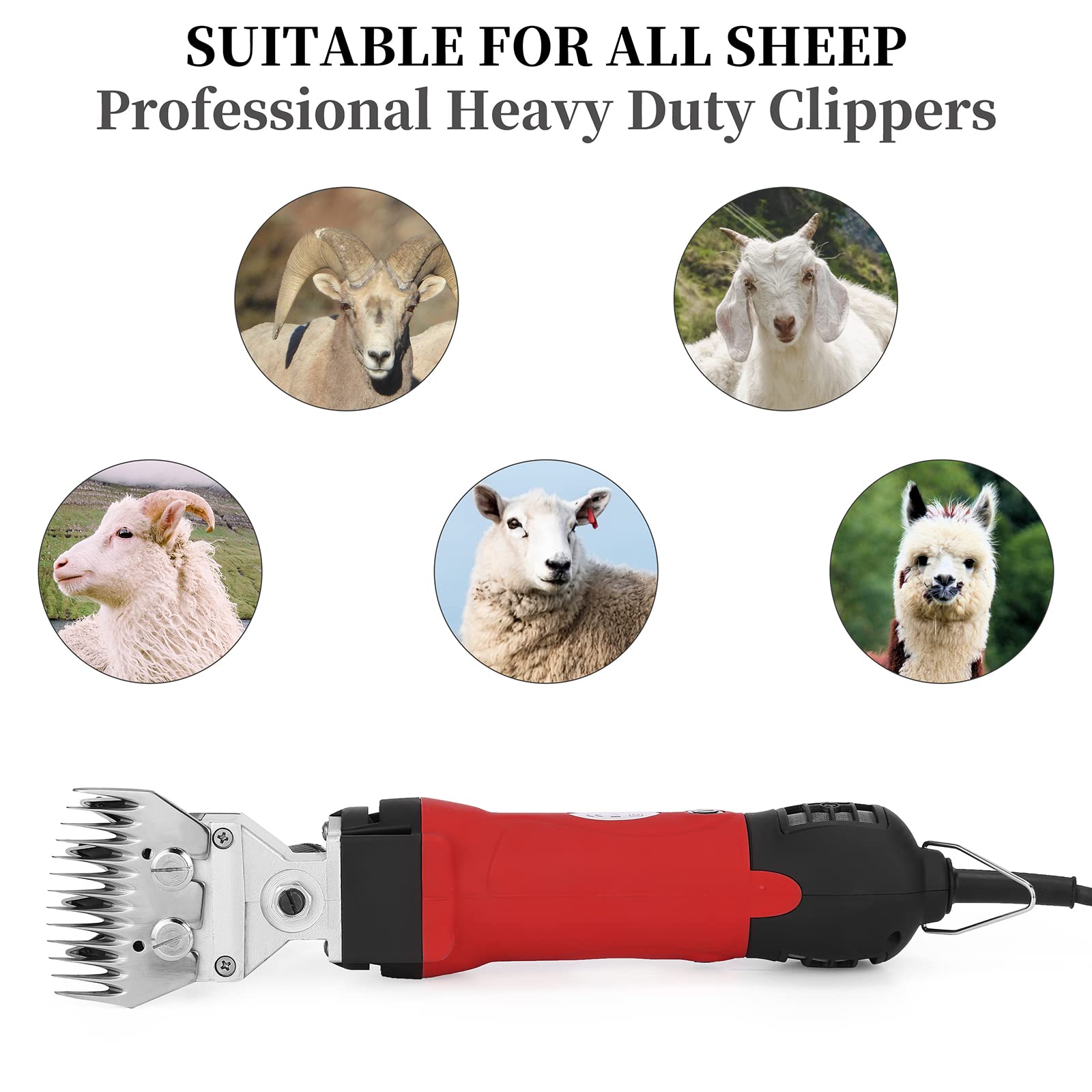 DUCKBOY - Tosatrice elettrica per pecore, resistente, professionale, 500 W, per pecore, capre e bestiame
