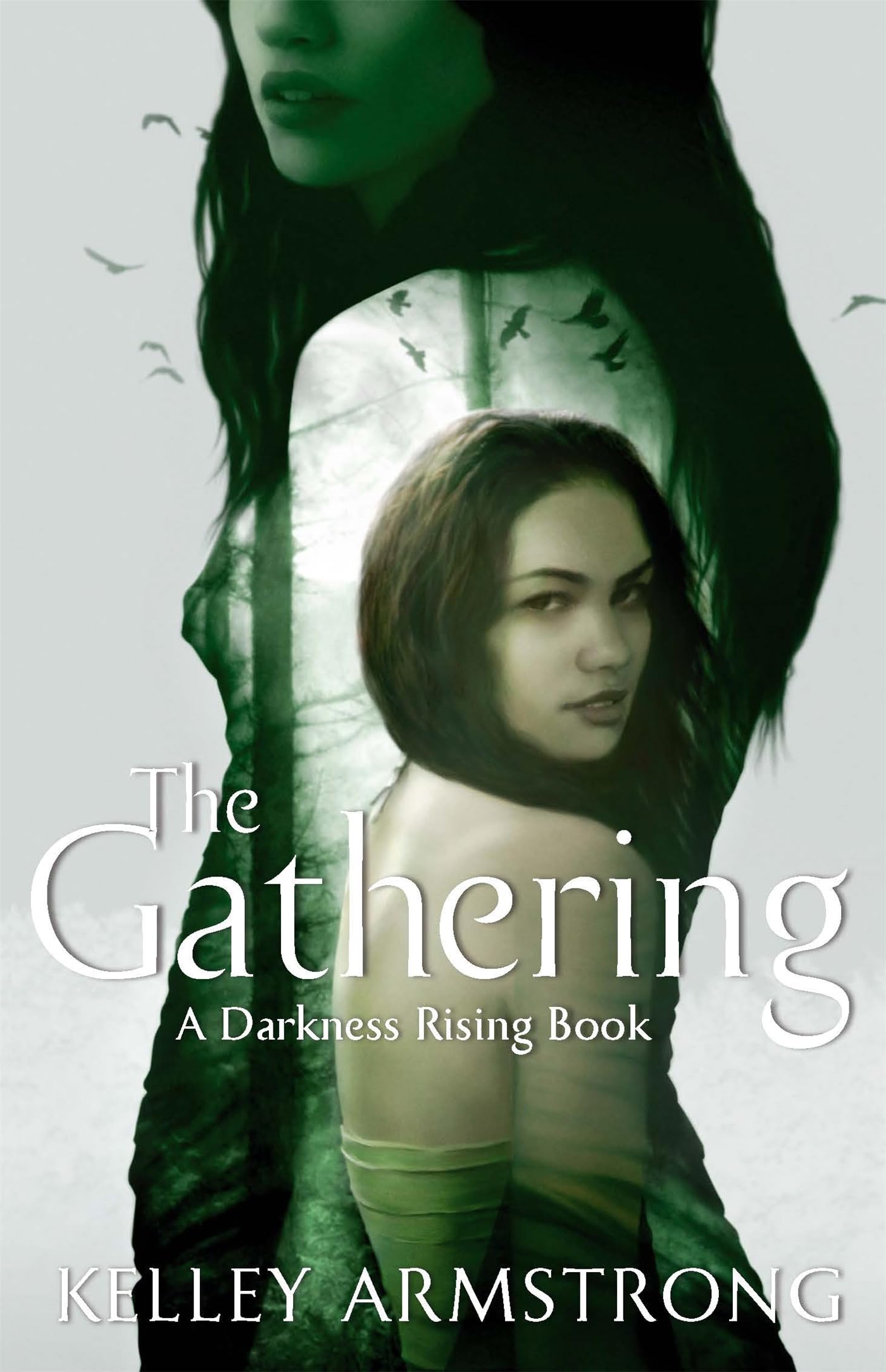 Kelley Armstrong paperback 3 books from the Darkness Rising series Free P & P