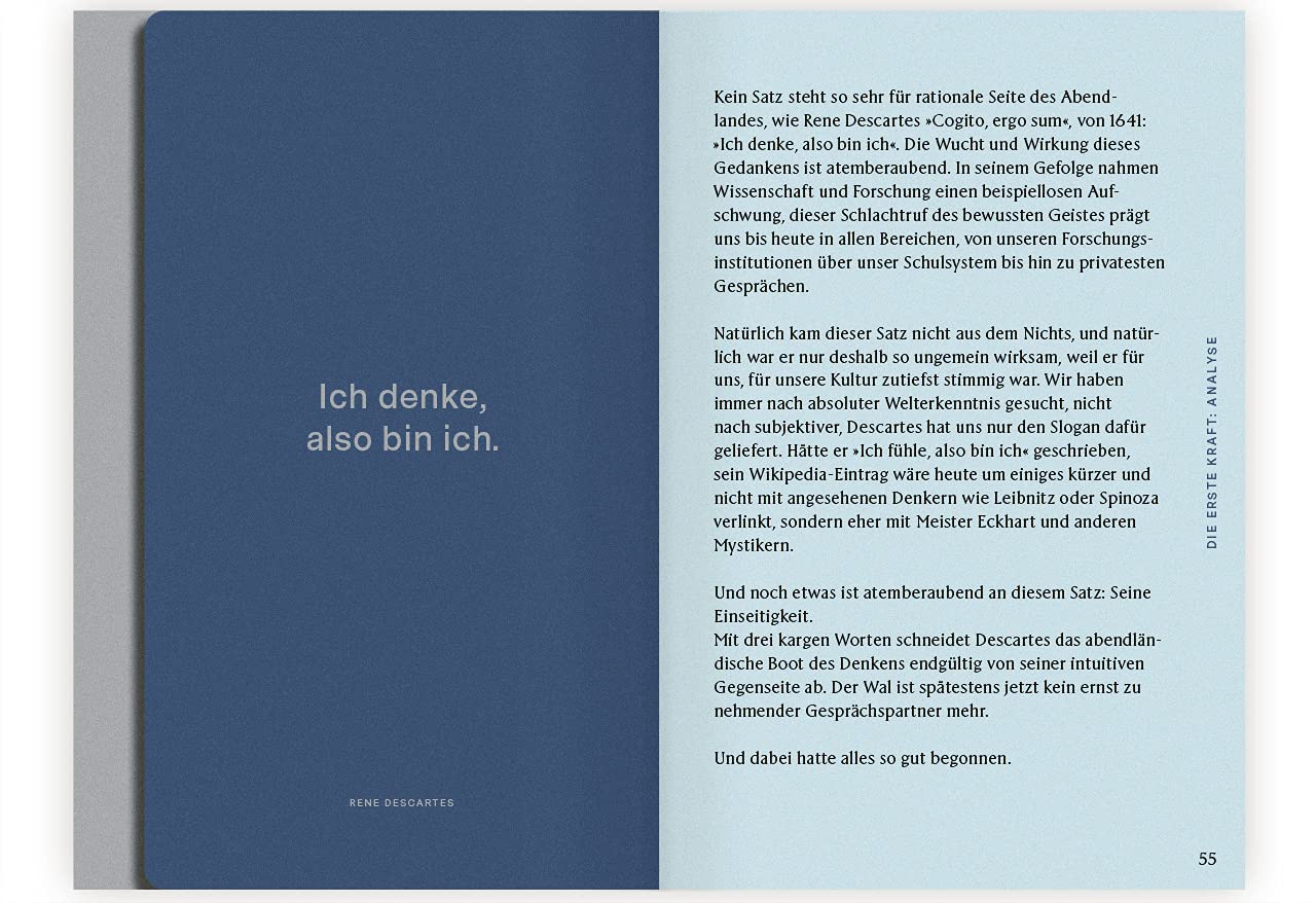 Echtzeit: Die Kunst, intuitiv zu denken