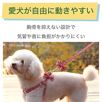 ys0629様 リクエスト 5点 まとめ商品 正規表現でのURLのチェックとバイパス | 技術者ブログ | 三井