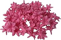 50 PCS Pink Blooming Jasmine Pikake Clay Flowers - Thai Clay for Jewelry Making DIY Crafts Supplies