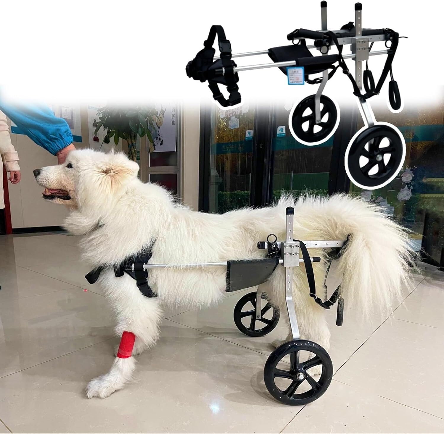 Silla de ruedas para perros ligera y ajustable para bulldogs talla L