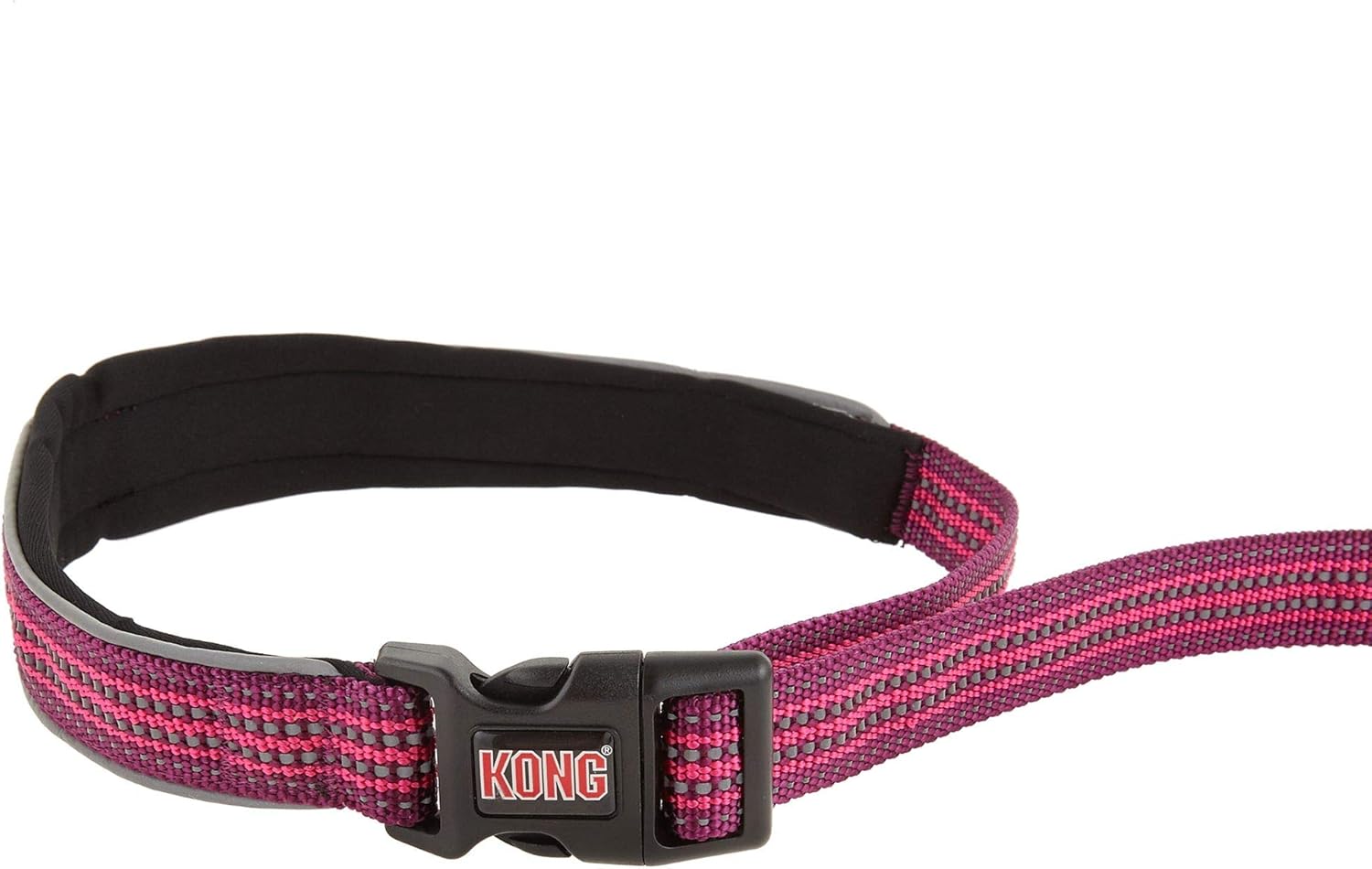 kong leash bungee
