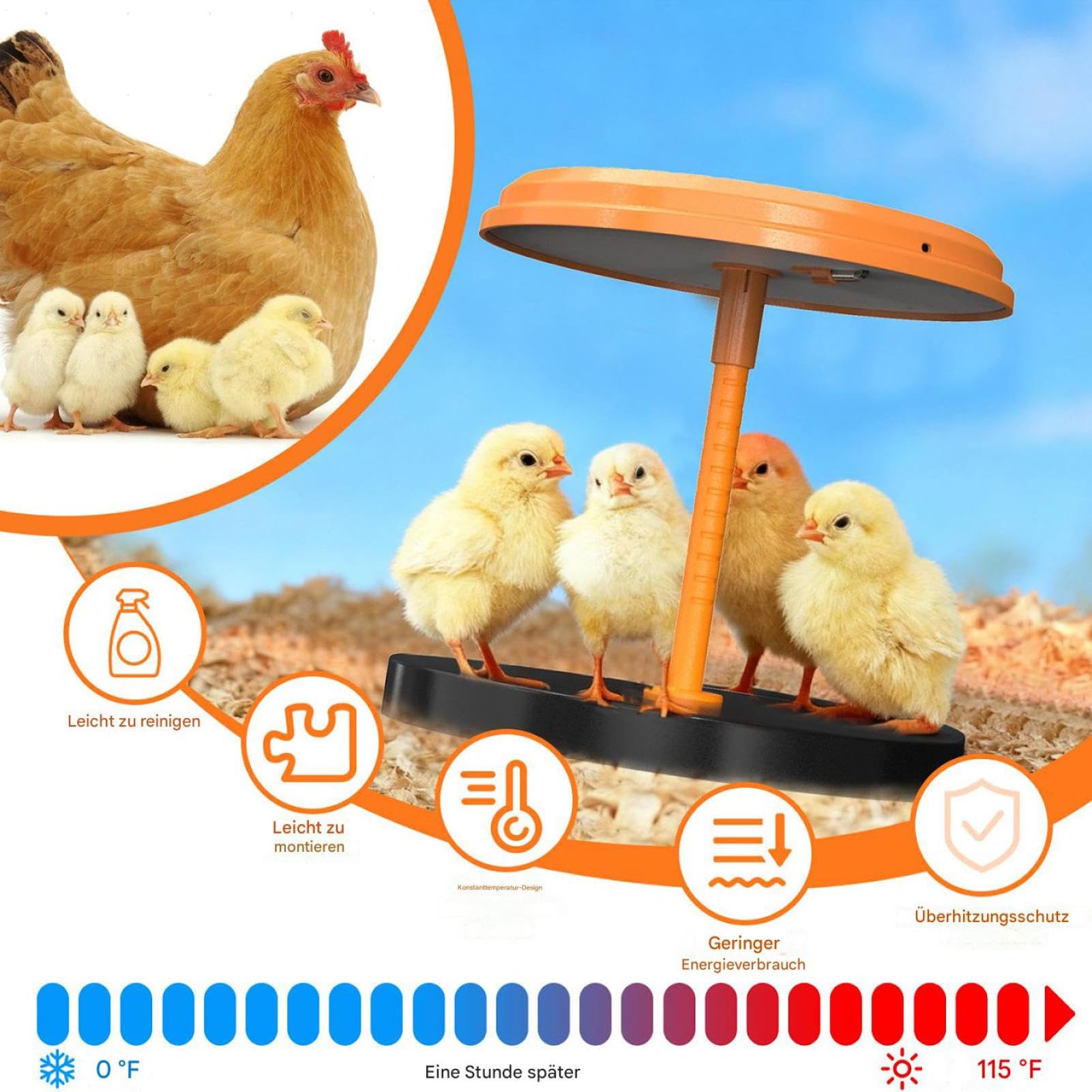 Piastra Riscaldante Per Pulcini Piastra Termica Brooder Per Pulcini Da 35W