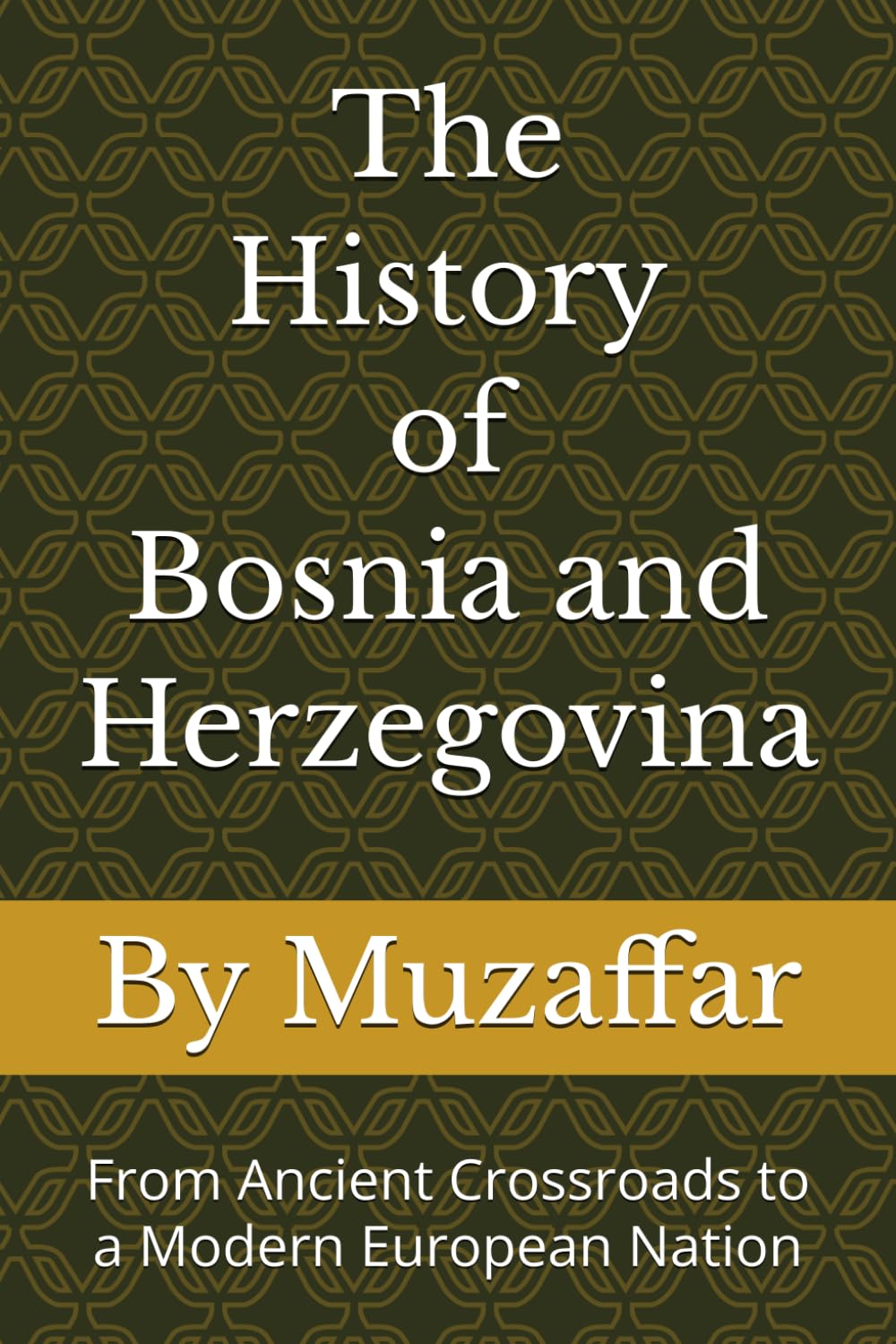 The History of Bosnia and Herzegovina: From Ancient Crossroads to a Modern European Nation (history books)