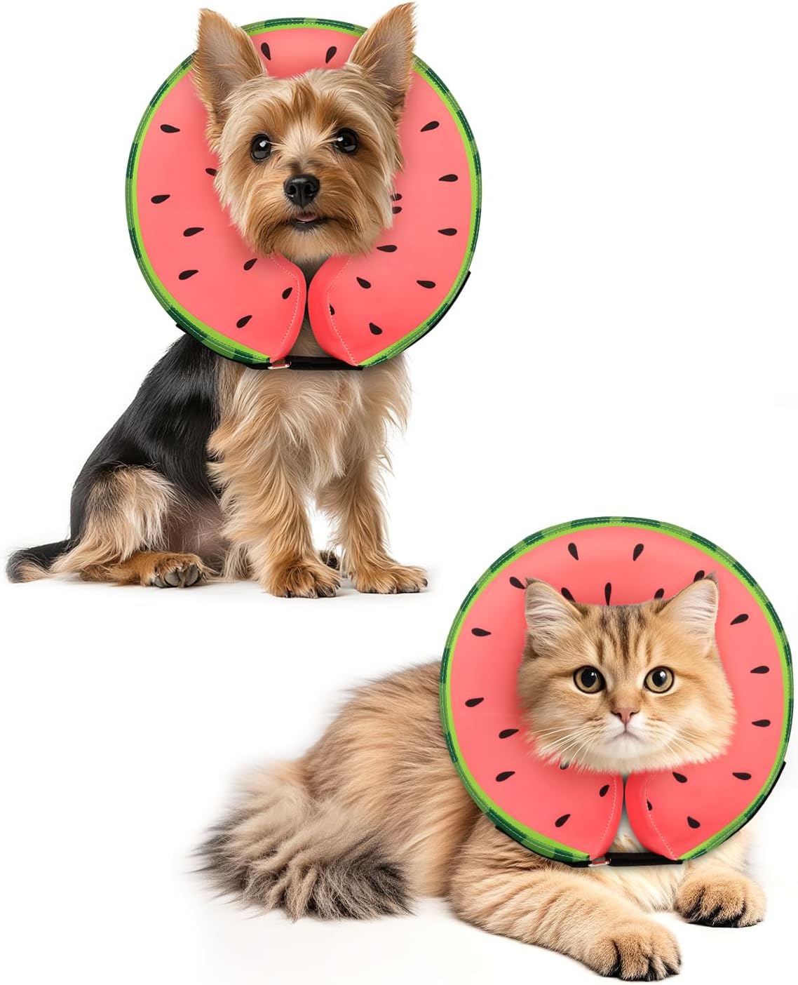 MIDOG Dog Cone Collar for Large Medium Dogs, MD-102B-Watermelon-XS-5-18A
