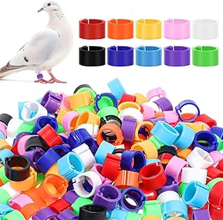 JEYORZY 100 pièces bagues d'identification pour oiseaux de 10mm, aanneaux de pied de volaille avec coloré, Accessoire ludique pour décorer les volaille anneaux de cuisse de poulet, couleur aléatoire