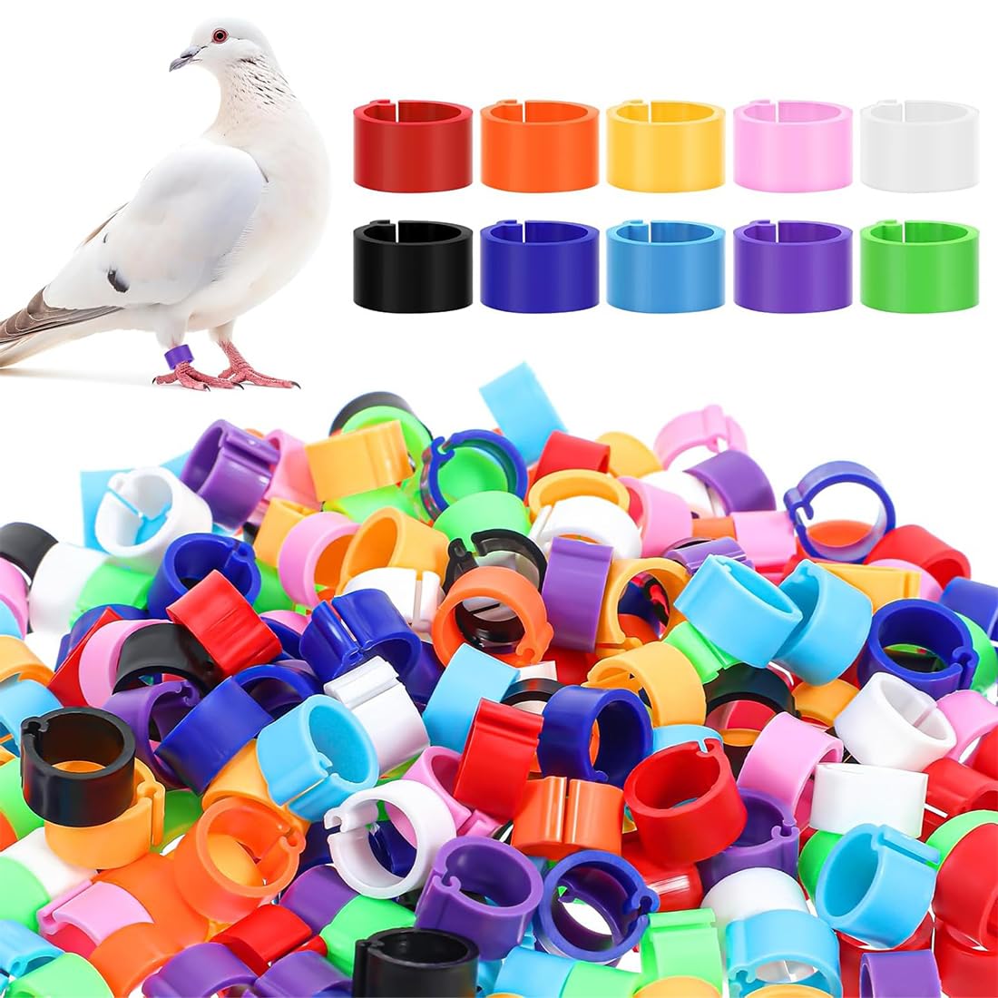 JEYORZY 100 pcs 10 mm Anillos de reconocimiento de palomas - Anillos para pata de palomas mensajeras