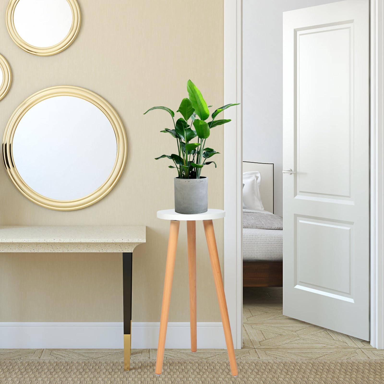 Supporto Minimalista in Legno Piante Staccabile, Rotondo, per Vaso