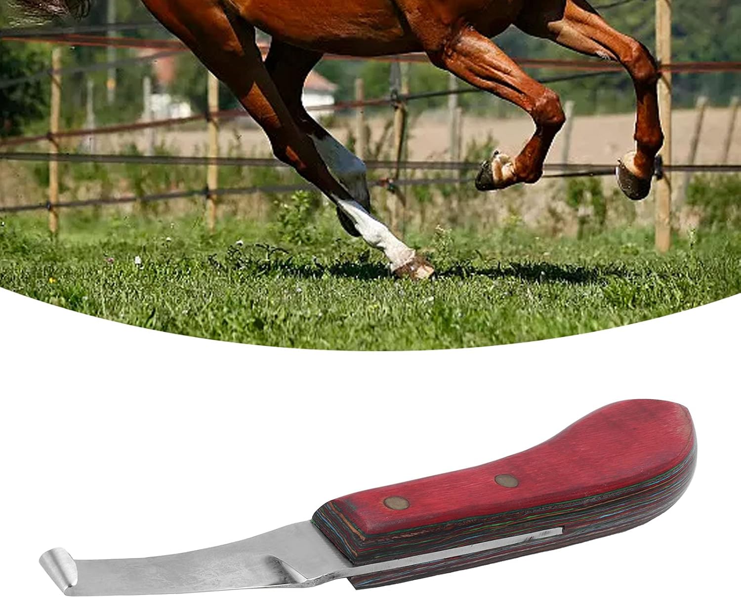 Geriop Curved Hoof Knife, Hoof Trimmer Hoof Cleaning Tool for Farrier : Pet Supplies