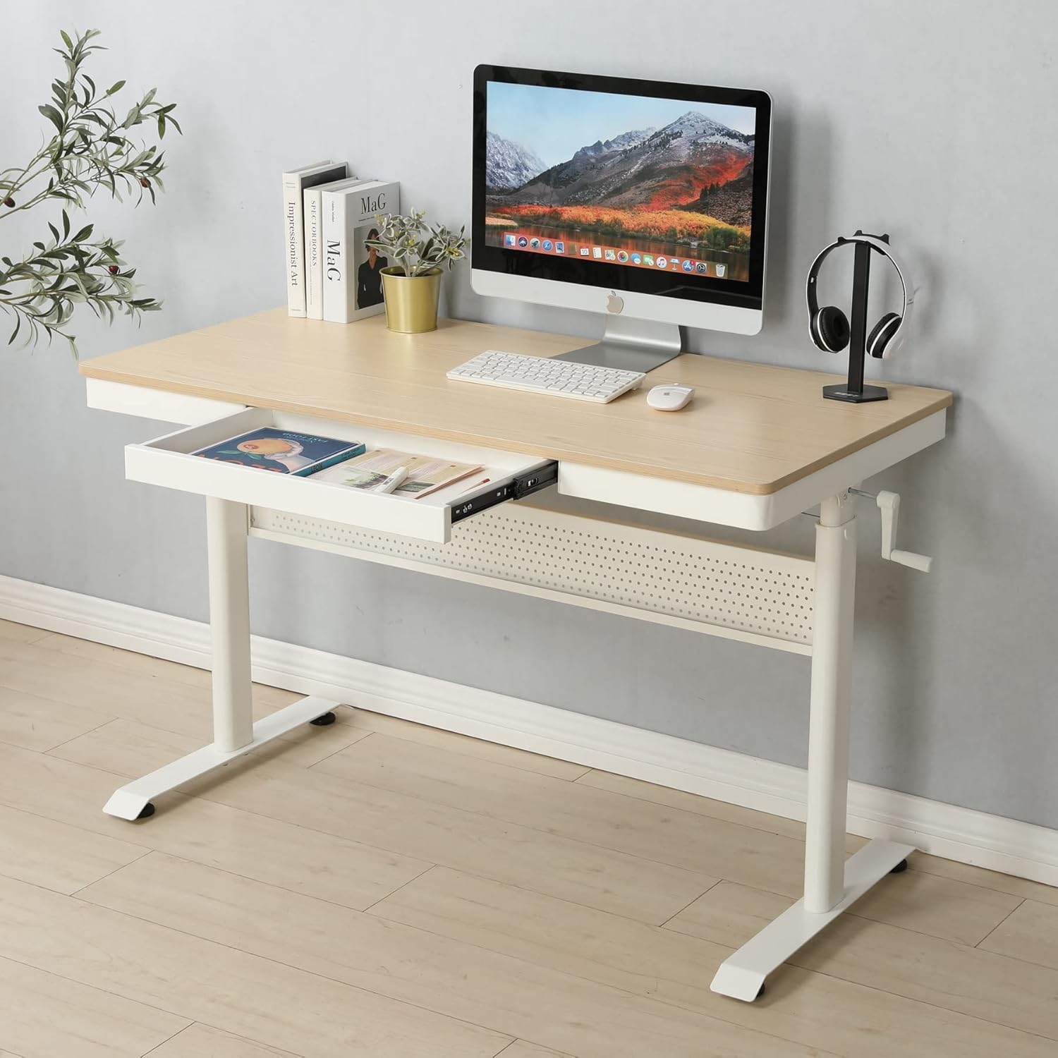 Height Adjustable Standing Desk, Stand Up Desk with Metal Drawer, 48x24 Whole-Piece Maple Wood Tabletop Sit Stand Table Ergonomic Workstation Desk for Home Office,Brown