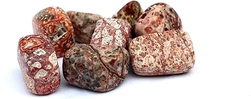 Miniatura 7 de Jet - Piedra pulida auténtica de piel de leopardo (una pieza), atractivas piedras auténticas de aproximadamente 0.71-1.06 oz (jaspe de piel de