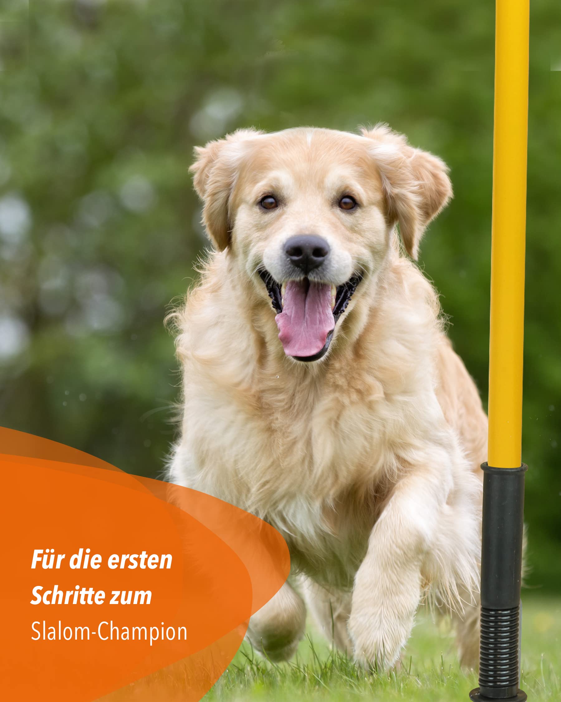 Kombi-Hülse aus Kunststoff mit Kippgelenk & Slalomstange 180 cm – 4er Set – Stange für Slalom & Koordinationstraining – für Fußball & Hundesport – Slalom-Set