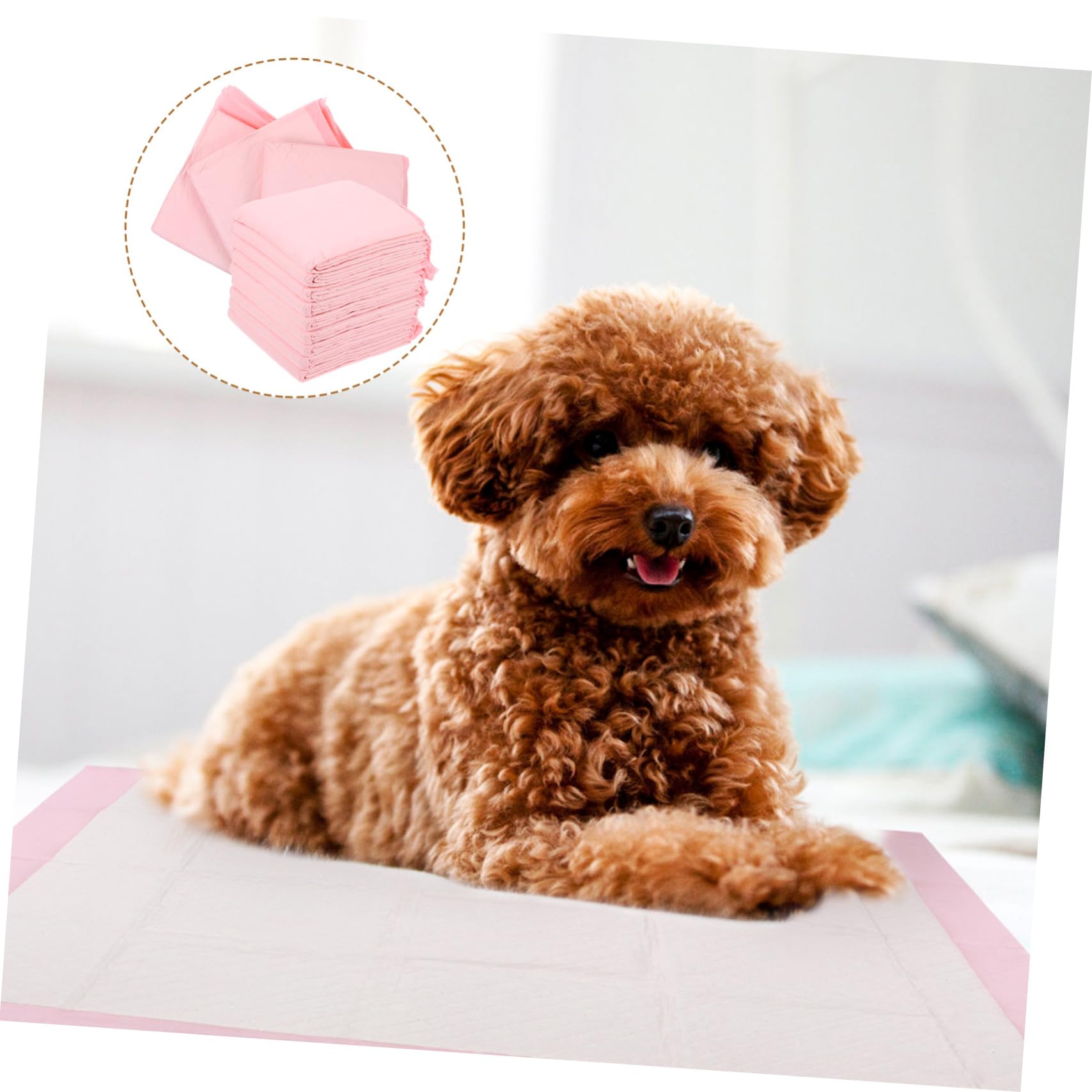 COLLBATH 1paquet Alèses pour Chiens Alèses Épaisses Et Absorbantes pour Éducation Animaux pour Appartements