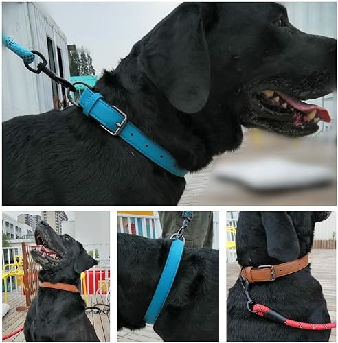 Miniatura 4 de WeTest Collares acolchados de cuero de lujo para gatos, cachorros, perros pequeños y medianos, color rojo