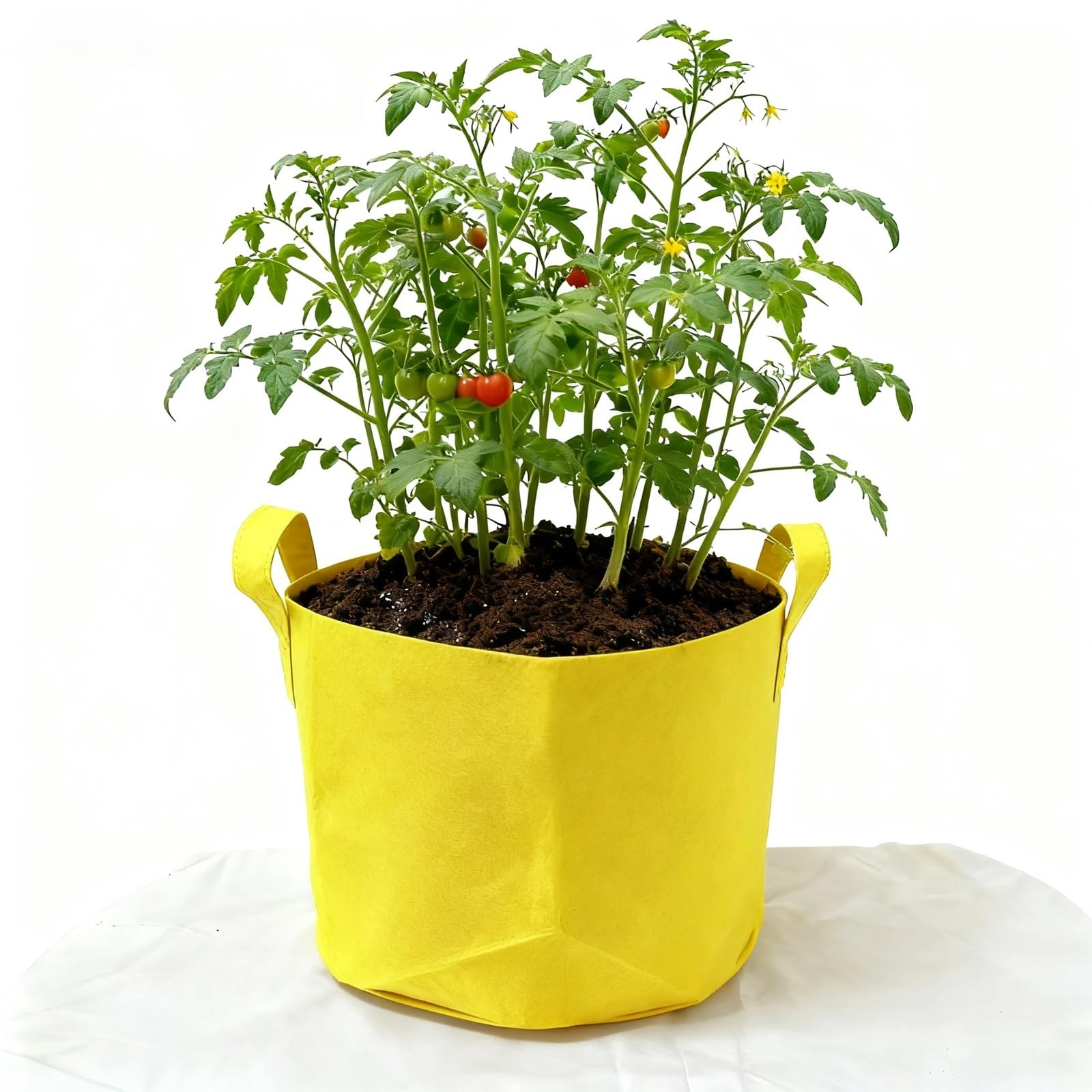 ZHSOAO 10 Gallon Grow Bags For Vegetable/Flower/Plant, 5 Aeration Fabric Pots With Handles Cloth For Plants Garden Gift for Vegetables and Flowers(Yellow,1Gallon)