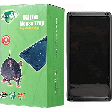 Amazon Com Heavy Duty Mouse Traps Baited Rat Traps Mouse Spider Insect Scorpion Rodent Pest Glue Traps Large Size Professional Strength Non Toxic 4glue Trays Patio Lawn Garden