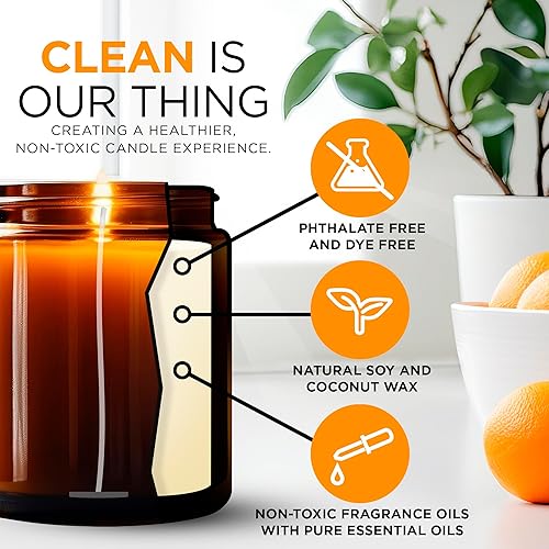 Miniatura 3 de Tennessee BACKROADS, Evergreen and Deciduous Pine - Vela de cera de soja natural y coco, sin ftalatos, no tóxica y de combustión limpia saludable,