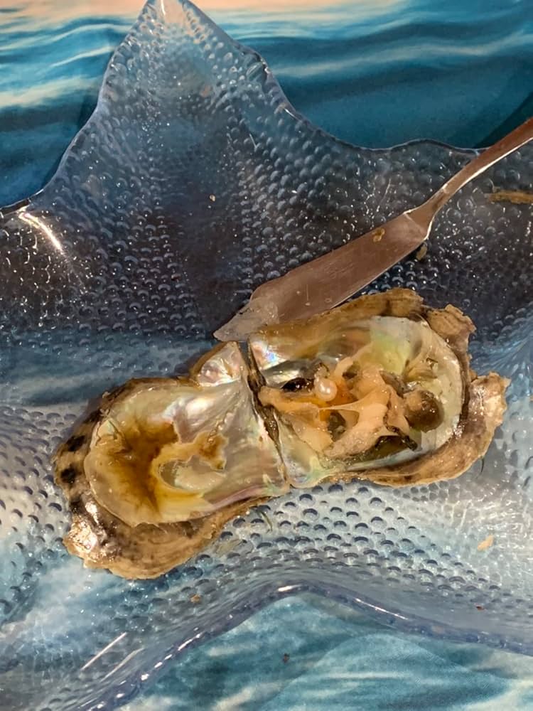 Amazon.co.jp: 真空パック日本産アコヤ貝3個 真空真珠貝（真珠入