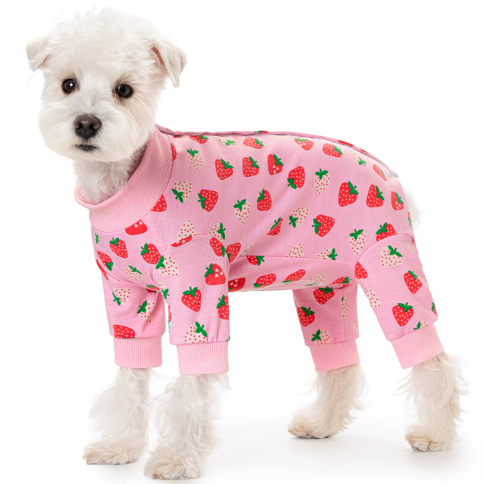 Photo 1 of Small Dog Striped Recovery Suit, Puppy After Surgery Onesie for Female Male, Pet 4-Legged Pajamas Bodysuit, Surgery Abdominal Wound Bandages Clothes Pant for Shedding Skin Disease