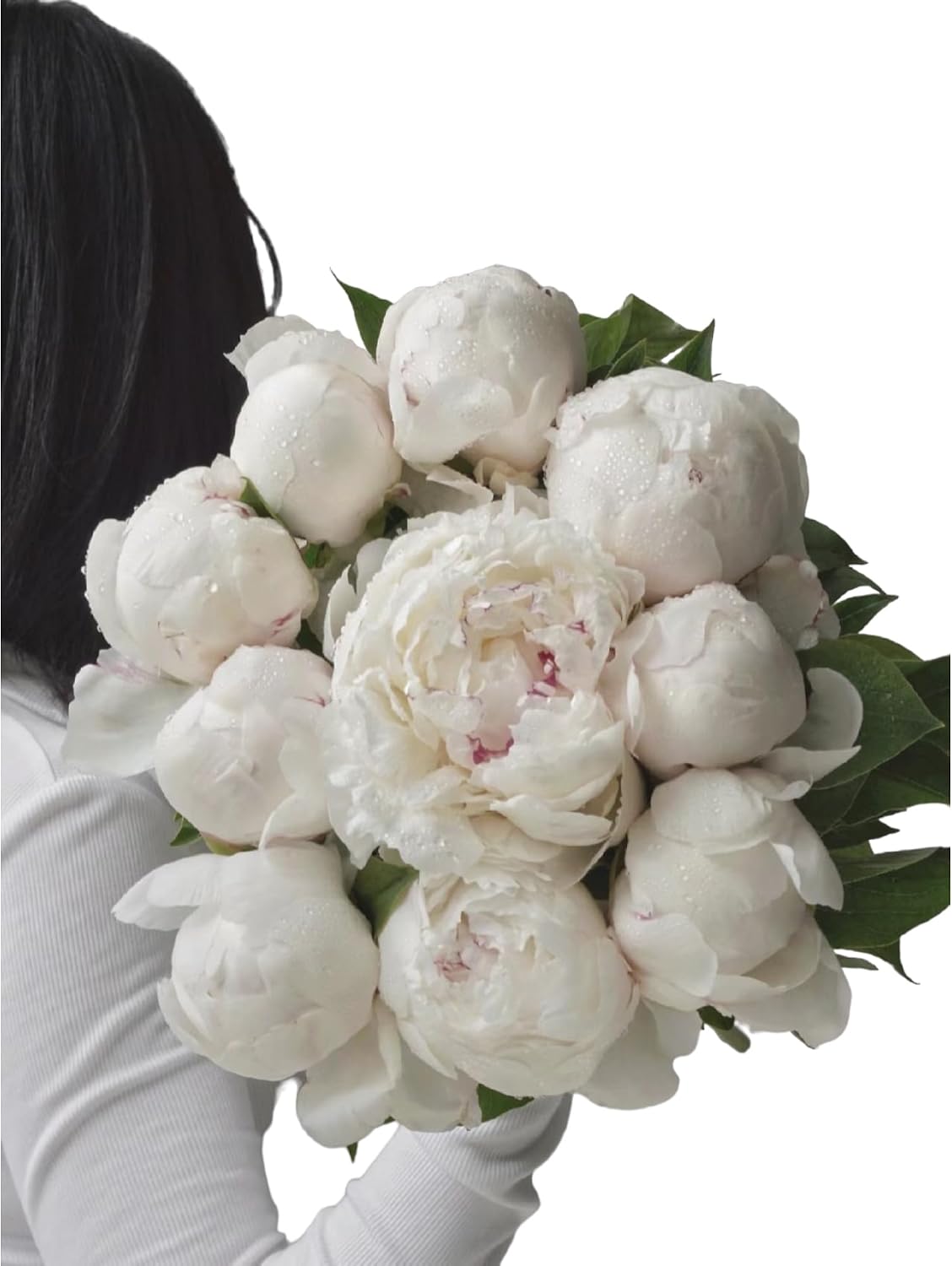 10 Stems White Peony Fresh Cut Flowers Hydroponic Flower Gifts for Mother's Day Birthdays Anniversaries and Love