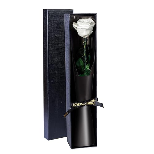 Preserved Flowers Gifts for Women, Flowers for Delivery, Single Roses