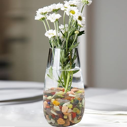 Miniatura 4 de Rocas para Suculentas, Guijarros Pulidos de 38 Pulgadas para Plantas de Interior, Rocas de Río Decorativas para Plantas de Interior, Relleno para