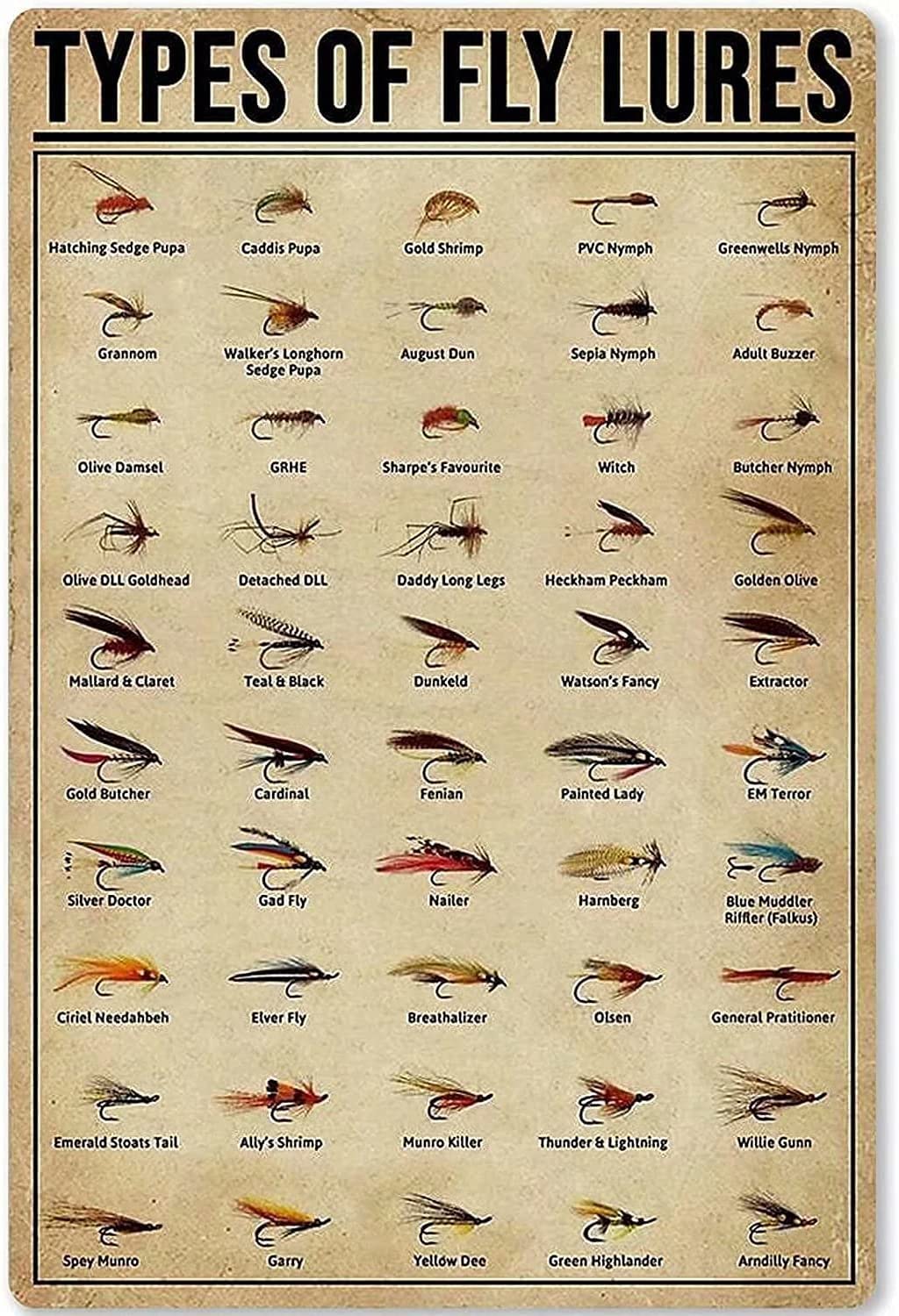 Haosensix Fly Lures Knowledge Metal Tin Sign Types Of Fly Lures Art Wall Decor Poster Cafe School Living Room Home Decor Plaque 8x12 Inches