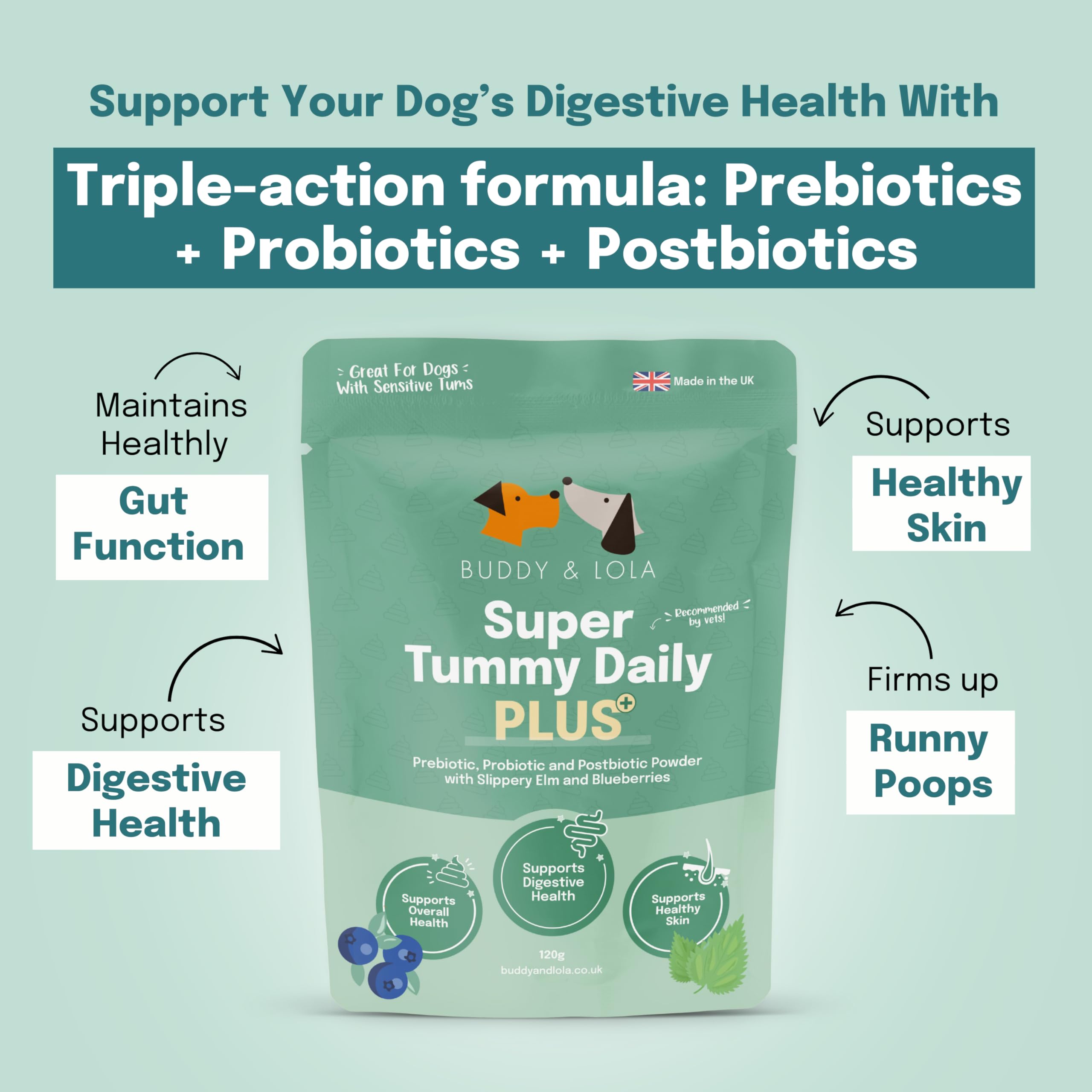 Buddy & Lola Super Tummy Daily Plus, Plain, 120g Pouch - Image 2