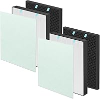 Vista 1 de 2 juegos de filtros Air400 de repuesto para purificador de aire Bissell Air400, paquete de carbón activado HEPA 3365, incluye filtros Hepa 2521