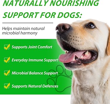 2Pack Natural Defence Drops for Dogs,Dog Immune Support Drops | Supports Joint, Digestion, Immunity & Skin Health | For Everyday Vitality | Suitable for All Breeds | 60ml
