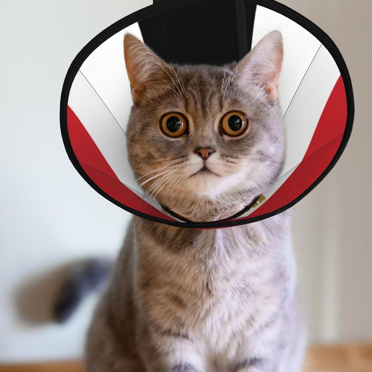 Custom Pet Cones - Unique Design Cat & Dog Cone, Collar for Post-Surgery Recovery, Adjustable Neck Egyptian Flag Large