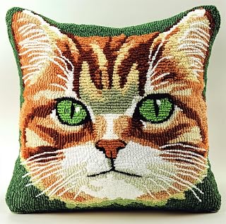 Rqwybcaxn Kit De Cojín De Gancho De Cierre,Ojos Verdes De Gato Kit De Tejer Para Principiantes, Adultos O Niños, Kit De Gancho De Pestillo 43X43 Cm