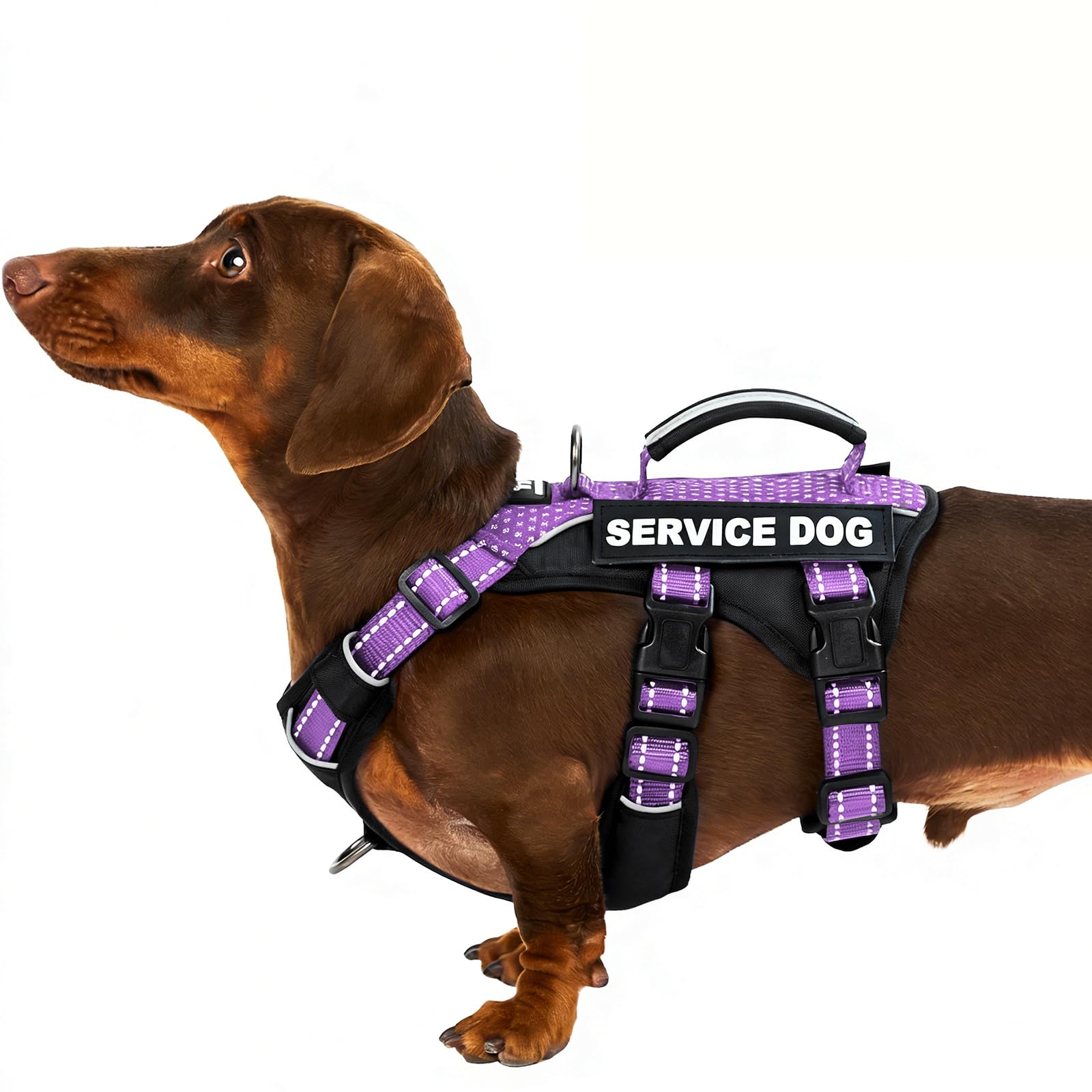 Huntboo Escape Proof Dog Harness Small Dog, Service Dog Harness with 6 Patches, No Pull Harness for Dogs with Handle, Reflective Adjustable Vest for Training, Walking, Outdoor (Lavender Purple,S)