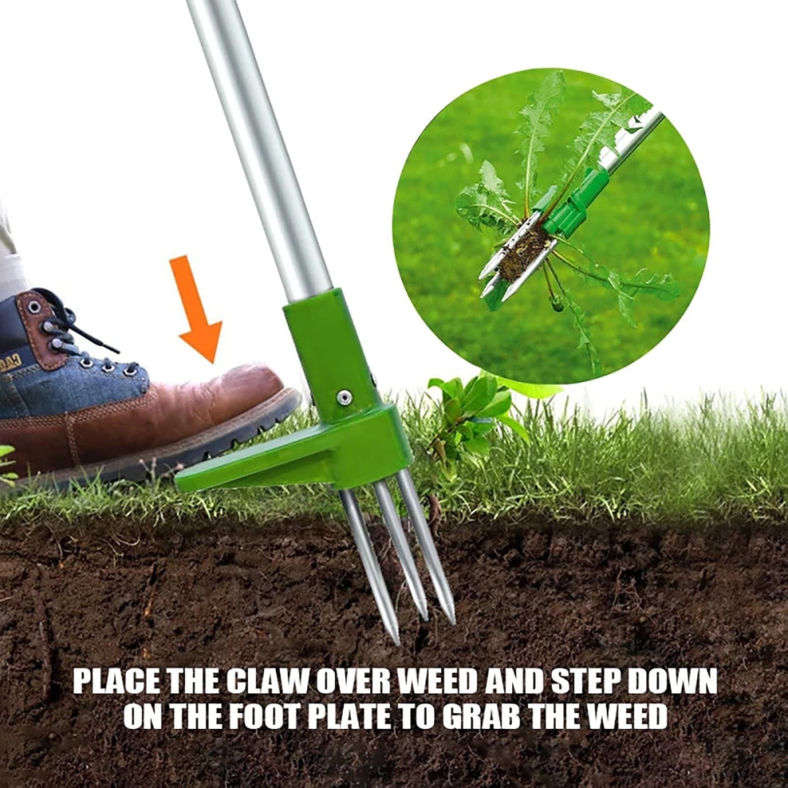 The Weeder - Stand-Up Weed Puller Tool, 42 Inch Lightweight Metal Design, Removes Thistle, Dandelions & Crabgrass (2 Lbs) - View #8