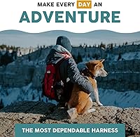 Vista 9 de Embark Urban - Arnés para perro sin tirones para perros pequeños, medianos y grandes. 2 clips para correa, parte delantera y trasera con asa