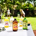 Bundaberg Ginger Beer 375 ml gallery image