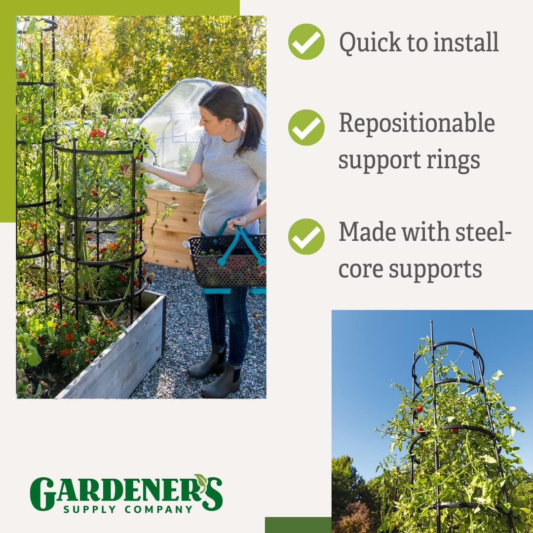 Gardeners Supply Company Titan Tomato Cages I Sturdy Steel Core Plant Support Trellis Cage Protection for Climbing Plants, Vegetable Garden & Tomato Support Rings | 19-1/2" D x 46" H (Set of 3)