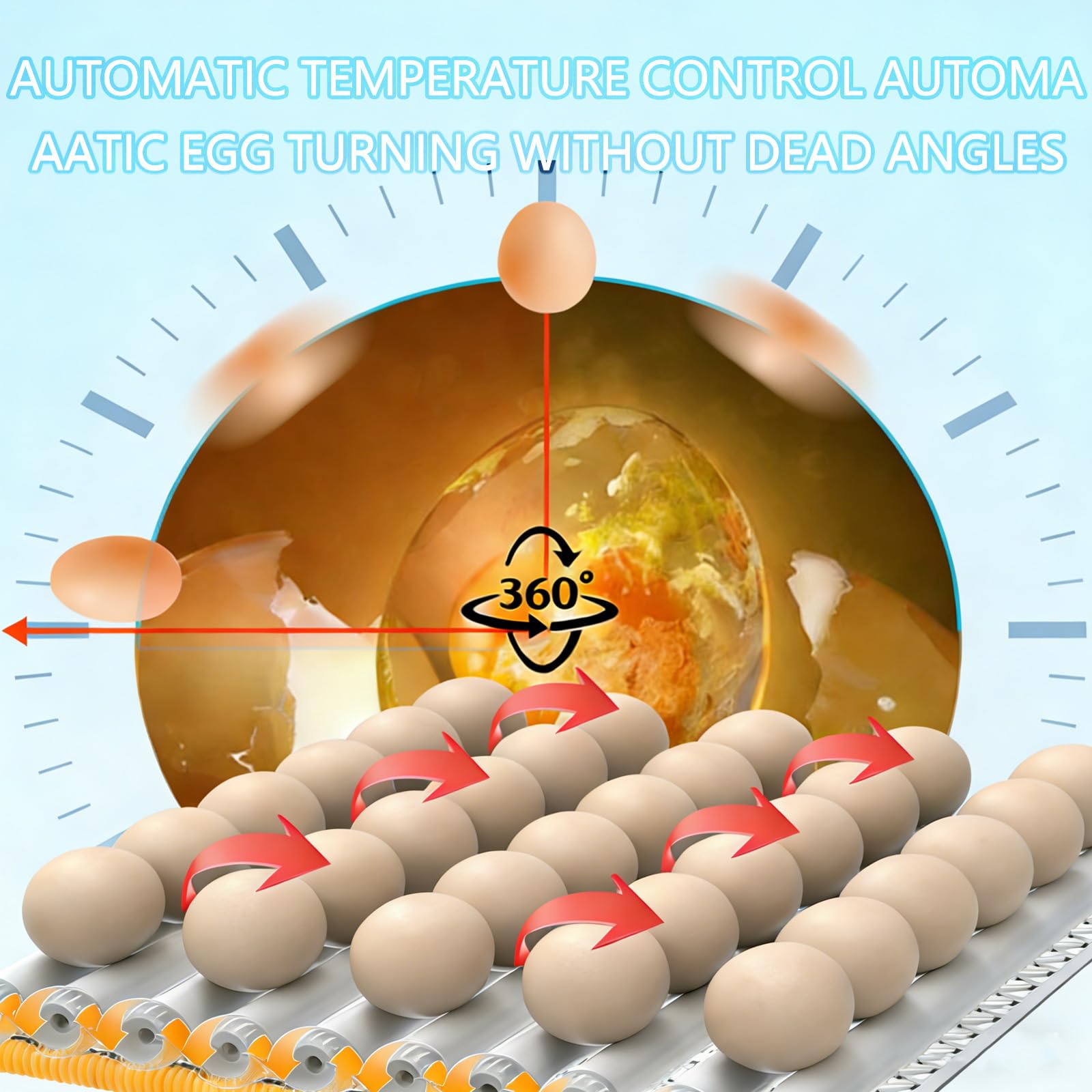 Incubadora De Huevos Con Paletta, Termostato Digitale E Controllo Dell'umidità, Visione Chiara A 360° - Per Far Schiudere Uova Di Pollo, Anatra E Quaglia A Casa, In Fattoria O A Scuola Nine