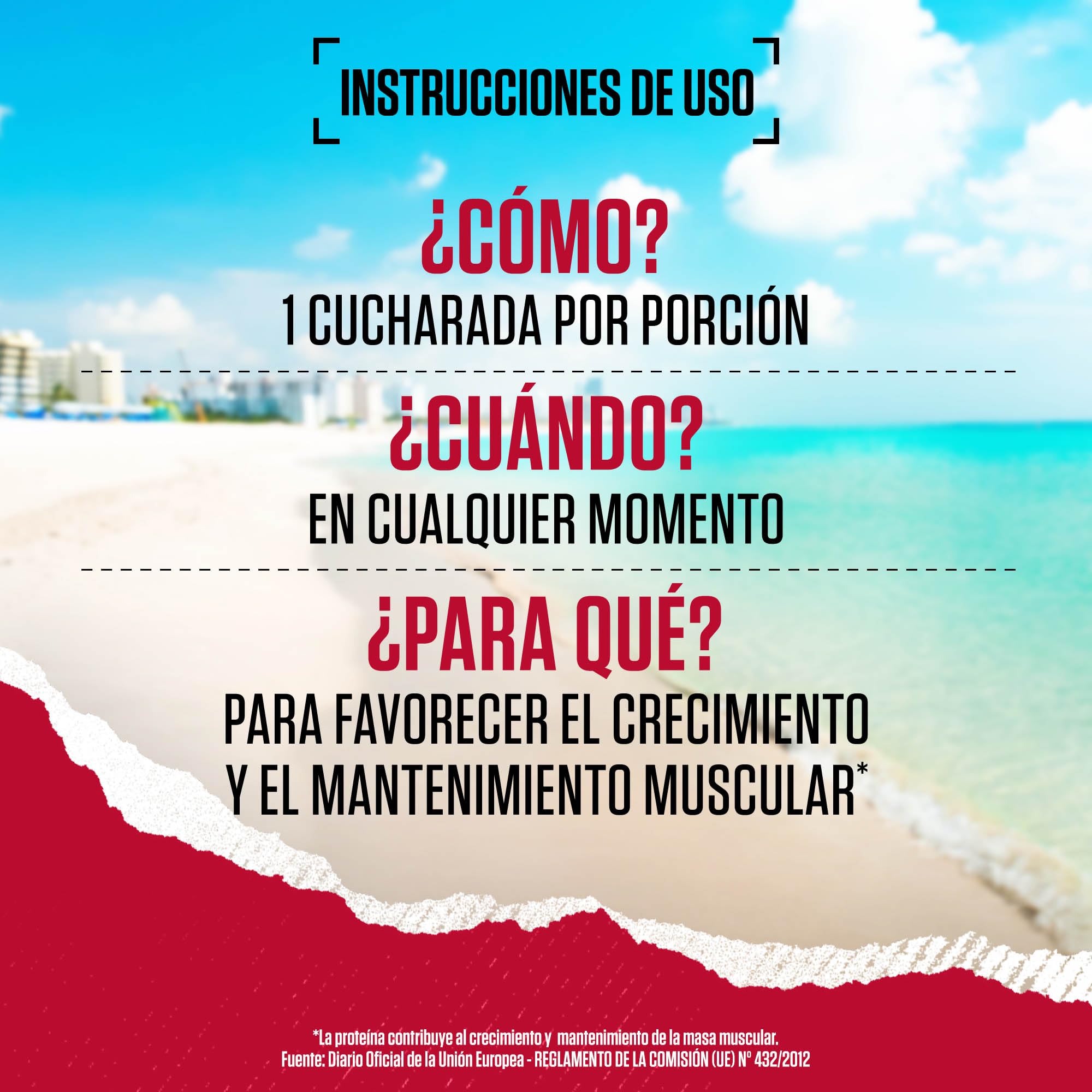 BSN Syntha 6 Proteína en Polvo Ultra-Premium para el Crecimiento y la Reparación Muscular, Bajo en Azúcar y Rico en Proteínas, Sabor Batido de Chocolate, 48 Porciones, 2,26 kg