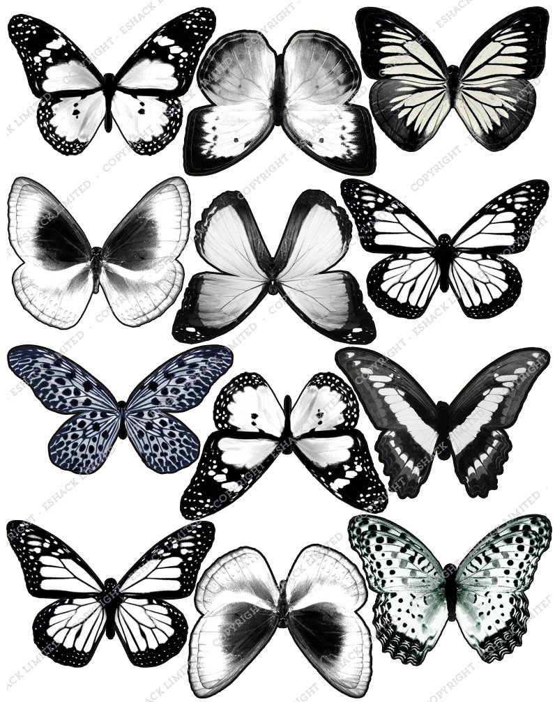 Cakeshop Edible Cake Toppers Est. 2012 White Cakeshop 12 X Pre-Cut Edible Butterfly Cake Toppers