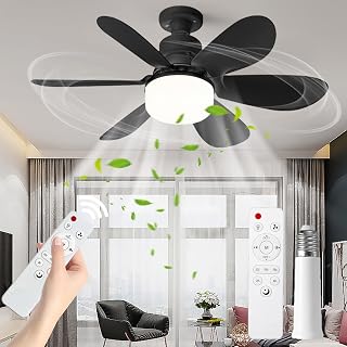 Huaerle Ceiling Fan Light with Remote 16" Screw in Ceiling Fan with Light