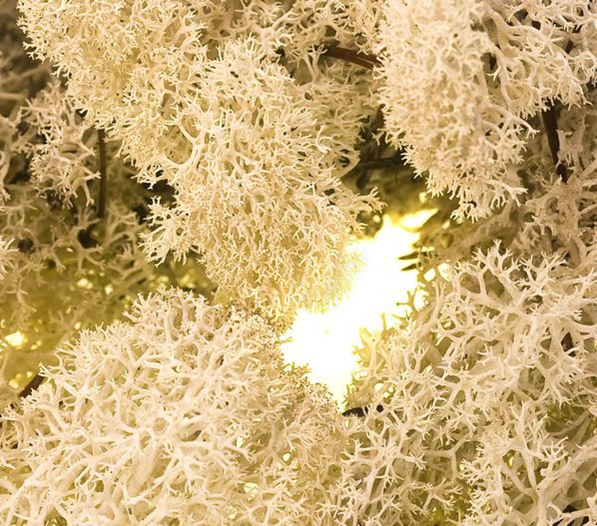 Floralcraft 500g Natural Preserved Finland Moss – Florist Moss for Wreath Making, Floral Arrangements, Terrariums, Craft Projects & Plant Display Decoration