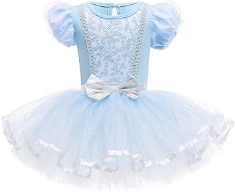 Princess Girls Leotards Ballet Dance Skirted Tutus Short Sleeve Dancewear Halloween Christmas Party Fancy Dress