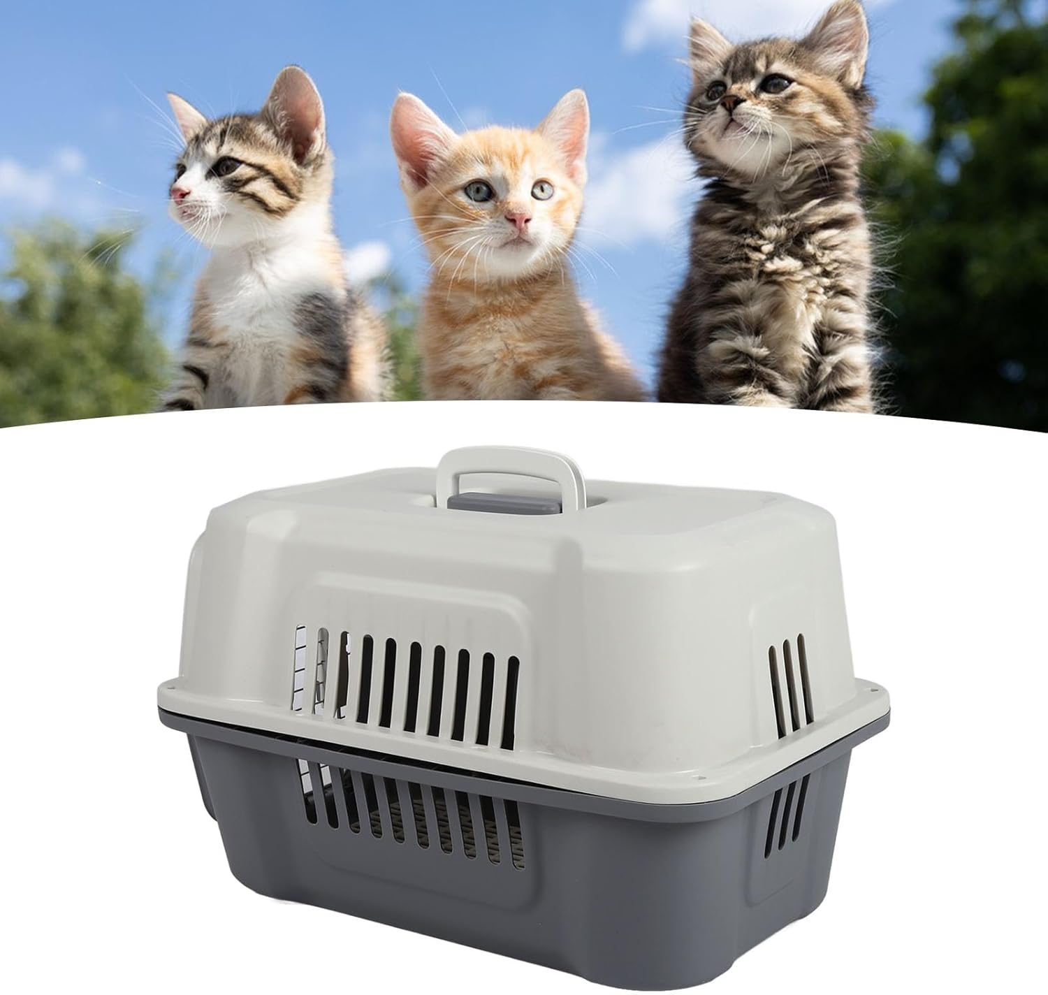 FILFEEL Lockable Hard Plastic Dog Carrier with Ventilated Design, Spacious Travel Pet Carrier for Small Dogs and Cats - Foldable Handle for Easy Carrying