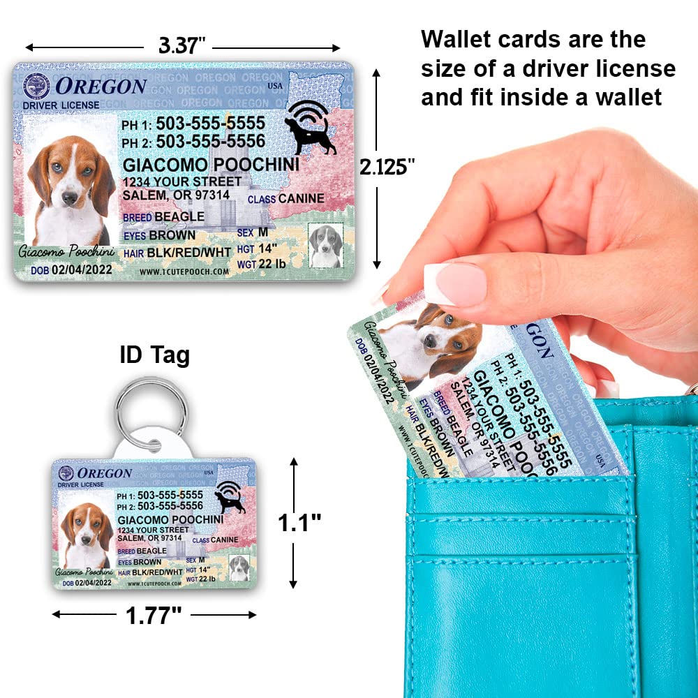 Amazon.com: Oregon Driver License Custom Dog Tag for Pets and